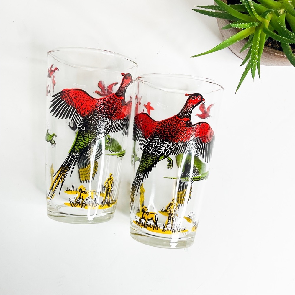 Vintage Pheasant Hunting Glass Tumblers Set Retro Bird Barware - Picture 5 of 9